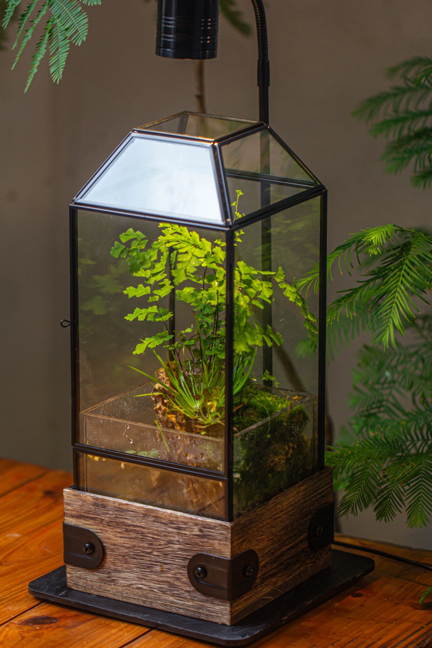 Handmade Glass Terrarium With Wood Base, Geometric Planter With Door, With LED Wood Lamp Base For Plants, Moss Landscapes, Plant Lover Gift 22 Handmade Glass Terrarium With Wood Base, Geometric Planter With Door, With LED Wood Lamp Base For Plants, Moss Landscapes, Plant Lover Gift - Image 20