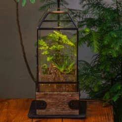 Handmade Glass Terrarium With Wood Base, Geometric Planter With Door, With LED Acrylic Lamp Base For Plants, Moss Landscapes, Plant Lover Gift -Terrarium Plant Hub IMG 4308