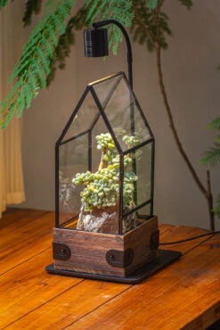 Handmade Glass Terrarium With Wood Base, House Shape Planter With Door, With LED Acrylic Lamp Base For Plants, Moss Landscapes, Plant Lover Gift -Terrarium Plant Hub IMG 4373