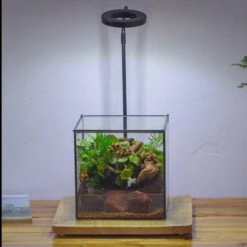 NCYP Watertight Close Cube 7" Geometric Glass Tin Terrarium, For Small Waterpond, Moss Landscape, Live Miniature, Water Pond, Landscape -Terrarium Plant Hub IMG 4375