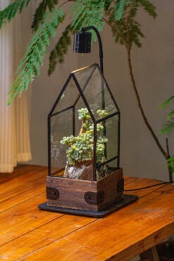 Handmade Glass Terrarium With Wood Base, House Shape Planter With Door, With LED Acrylic Lamp Base For Plants, Moss Landscapes, Plant Lover Gift -Terrarium Plant Hub IMG 4376