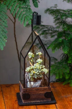 Handmade Glass Terrarium With Wood Base, House Shape Planter With Door, With LED Acrylic Lamp Base For Plants, Moss Landscapes, Plant Lover Gift -Terrarium Plant Hub IMG 4379