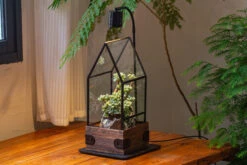 Handmade Glass Terrarium With Wood Base, House Shape Planter With Door, With LED Acrylic Lamp Base For Plants, Moss Landscapes, Plant Lover Gift -Terrarium Plant Hub IMG 4384