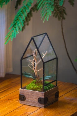 Handmade Glass Terrarium With Wood Base, House Shape Planter With Door, With LED Acrylic Lamp Base For Plants, Moss Landscapes, Plant Lover Gift -Terrarium Plant Hub IMG 4396 1