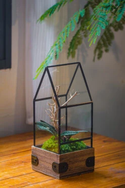 Handmade Glass Terrarium With Wood Base, House Shape Planter With Door, With LED Acrylic Lamp Base For Plants, Moss Landscapes, Plant Lover Gift -Terrarium Plant Hub IMG 4397 357776ee 215d 46d1 a65f c9f86de77bce 1
