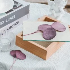 NCYP Handmade Personalized Tabletop Wall Hanging Natural Wood Glass Floating Frame For Photo -Terrarium Plant Hub IMG 4398