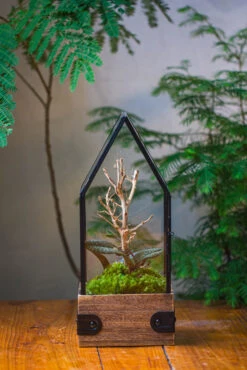Handmade Glass Terrarium With Wood Base, House Shape Planter With Door, With LED Acrylic Lamp Base For Plants, Moss Landscapes, Plant Lover Gift -Terrarium Plant Hub IMG 4400 1