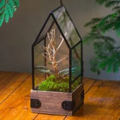 Handmade Glass Terrarium With Wood Base, House Shape Planter With Door, With LED Acrylic Lamp Base For Plants, Moss Landscapes, Plant Lover Gift -Terrarium Plant Hub IMG 4402 1