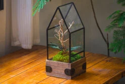 Handmade Glass Terrarium With Wood Base, House Shape Planter With Door, With LED Acrylic Lamp Base For Plants, Moss Landscapes, Plant Lover Gift -Terrarium Plant Hub IMG 4403 1
