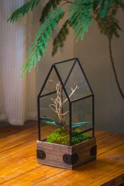 Handmade Glass Terrarium With Wood Base, House Shape Planter With Door, With LED Acrylic Lamp Base For Plants, Moss Landscapes, Plant Lover Gift -Terrarium Plant Hub IMG 4405 1