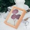 NCYP Handmade Personalized Tabletop Wall Hanging Natural Wood Glass Floating Frame For Photo 1 NCYP Handmade Personalized Tabletop Wall Hanging Natural Wood Glass Floating Frame For Photo -Terrarium Plant Hub IMG 4431