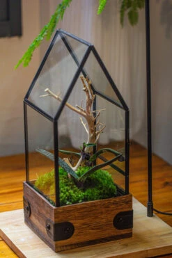 Handmade Glass Terrarium With Wood Base, House Shape Planter With Door, With LED Acrylic Lamp Base For Plants, Moss Landscapes, Plant Lover Gift -Terrarium Plant Hub IMG 4449 33b809c2 729a 4807 9931 1150b4f6807c 1