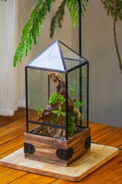 Handmade Glass Terrarium With Wood Base, Pyramid Shape Planter With Door, With LED Wood Lamp Base For Plants, Moss Landscapes, Plant Lover Gift -Terrarium Plant Hub IMG 4472 462be08b d41a 42f2 8150 8f28e25c52e0