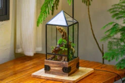 Handmade Glass Terrarium With Wood Base, Pyramid Shape Planter With Door, With LED Wood Lamp Base For Plants, Moss Landscapes, Plant Lover Gift -Terrarium Plant Hub IMG 4476 05022ab4 3fc9 4b27 a8f0 54996147f91a