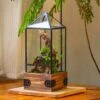 Handmade Glass Terrarium With Wood Base, Pyramid Shape Planter With Door, With LED Wood Lamp Base For Plants, Moss Landscapes, Plant Lover Gift -Terrarium Plant Hub IMG 4477