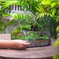 Irregular Geometric Rock Shape Glass And Tin Terrarium, For Moss -Terrarium Plant Hub IMG 4490