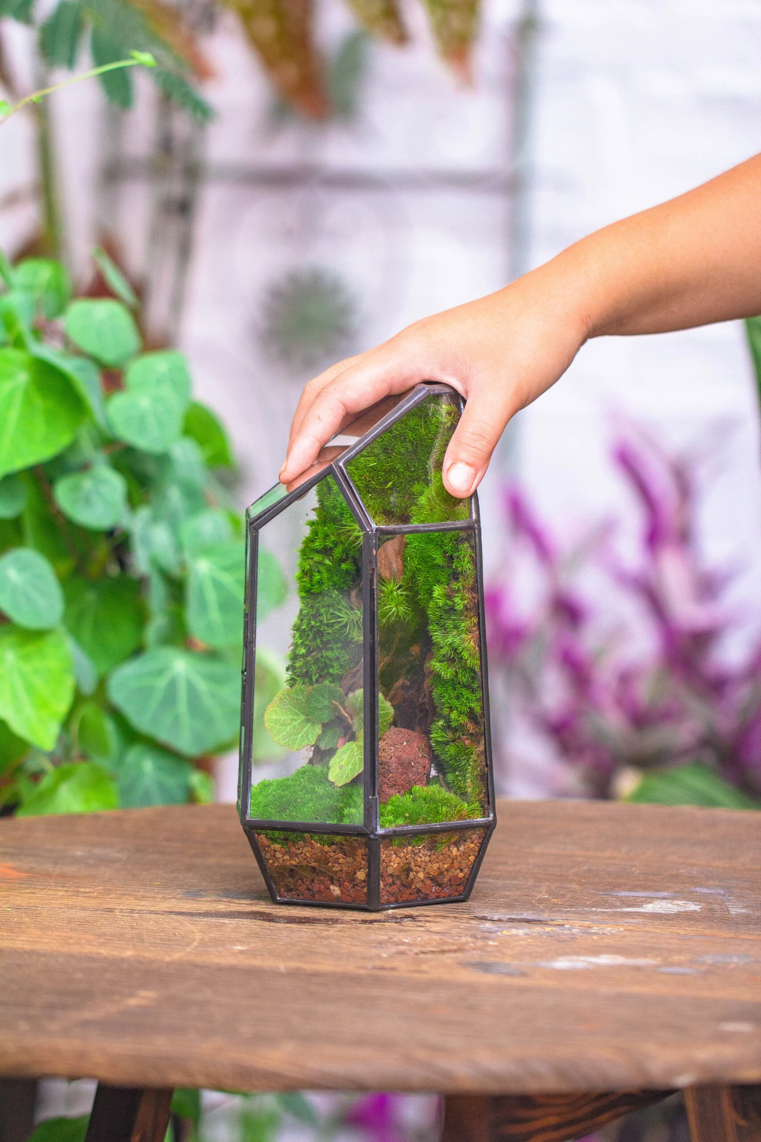 NCYP 8.66" Height Closed Irregular Glass Terrarium With Door Succulent Planter Geometric Flower Plant Pot Tabletop Small Bonsai 19 NCYP 8.66" Height Closed Irregular Glass Terrarium With Door Succulent Planter Geometric Flower Plant Pot Tabletop Small Bonsai - Image 17