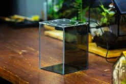 Watertight Glass Terrarium With LED Grow Light, Acrylic Lid For Moss Wall, Vertical Planting-12x12x18cm / 4.7x4.7x7.1'' -Terrarium Plant Hub IMG 4769 e5ba8495 4fb2 486c b8e0 096768cb7db0