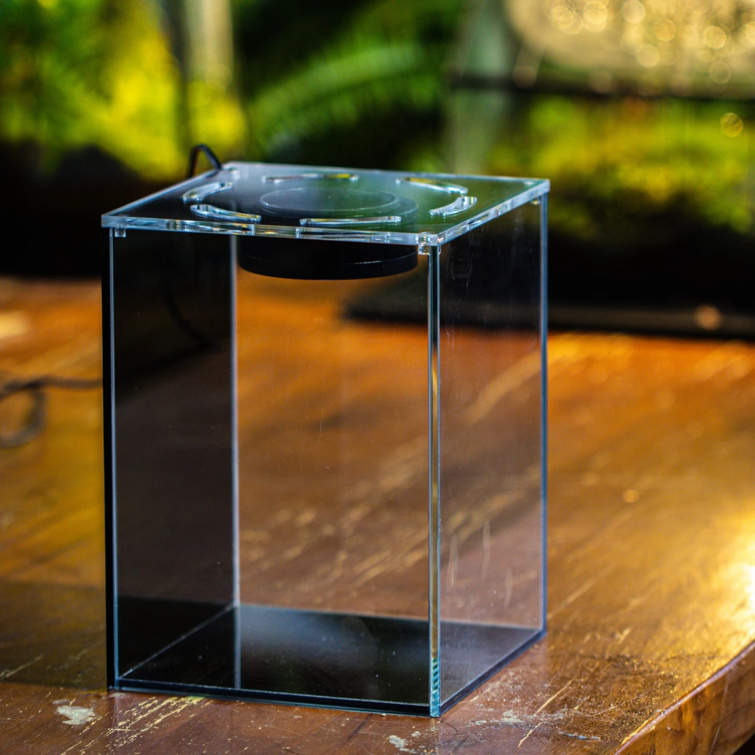 Watertight Glass Terrarium With LED Grow Light, Acrylic Lid For Moss Wall, Vertical Planting-12x12x18cm / 4.7x4.7x7.1''