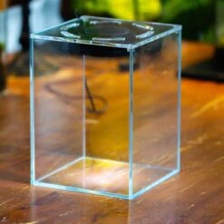 Watertight Glass Tank , Acrylic Lid, Terrarium Kit For Tropical Plants-25x25x30cm / 9.8x9.8x11.8'' -Terrarium Plant Hub IMG 4779 1 5