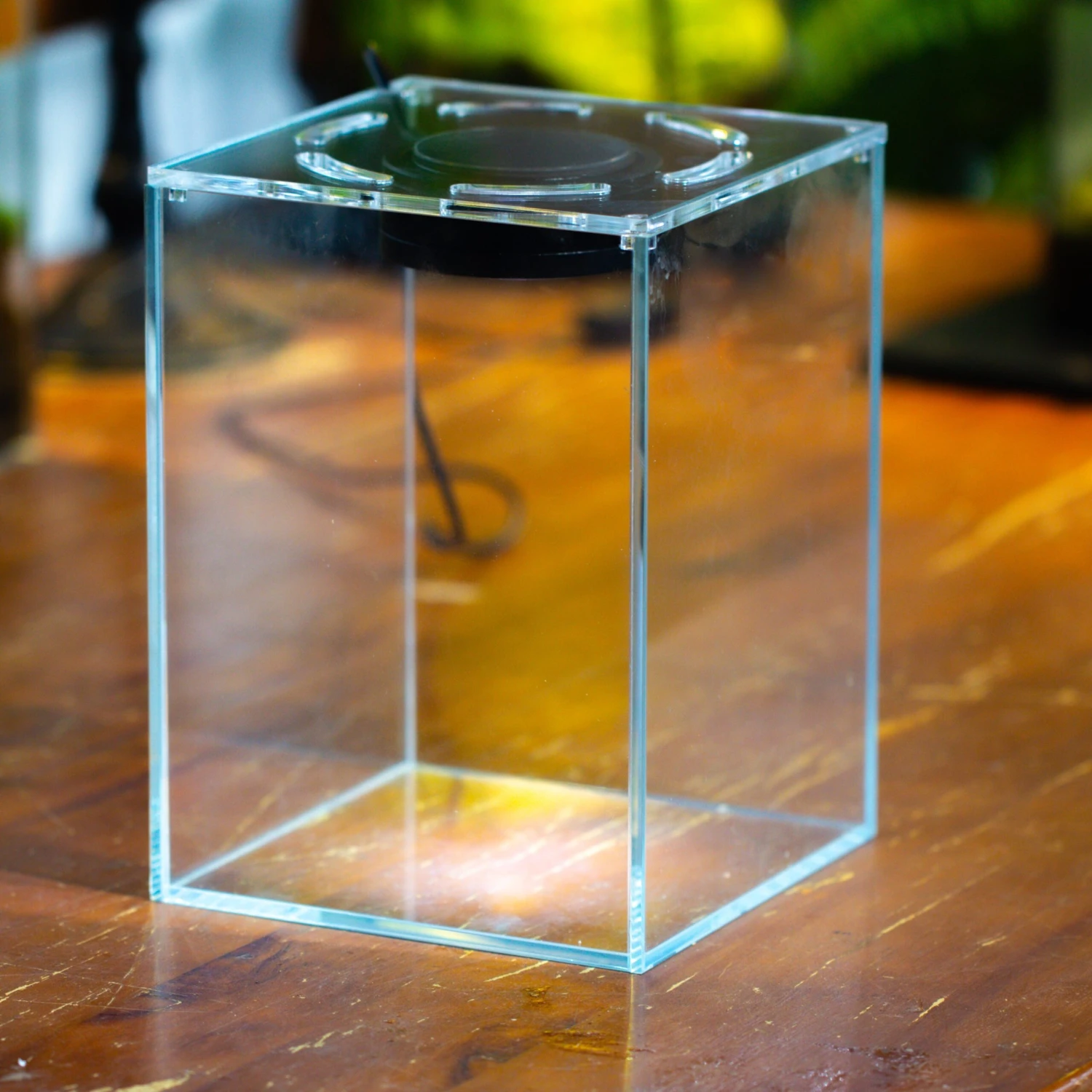Watertight Glass Terrarium With LED Grow Light, Acrylic Lid For Carnivorous Plants-15x15x20cm / 5.9x5.9x7.8''