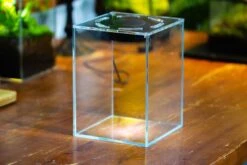 Watertight Glass Terrarium With LED Grow Light, Acrylic Lid For Carnivorous Plants-12x12x18cm / 4.7x4.7x7.1'' -Terrarium Plant Hub IMG 4779 5e4f12da b74c 488e 8b98 1b444b2c84b8 1