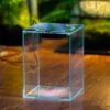 Watertight Glass Terrarium With LED Grow Light, Acrylic Lid For Carnivorous Plants-25x25x25cm / 9.8x9.8x9.8'' -Terrarium Plant Hub IMG 4781 1 bf973282 48ce 4715 92c1 5b722c8731e2 2