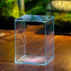 Watertight Glass Tank With LED Grow Light, Acrylic Lid, DIY Terrarium Kit-15x15x20cm / 5.9x5.9x7.8'' -Terrarium Plant Hub IMG 4781 1 bf973282 48ce 4715 92c1 5b722c8731e2 9