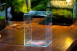 Watertight Glass Tank With LED Grow Light, Acrylic Lid, DIY Terrarium Kit-20x20x20cm / 7.8x7.8x7.8'' -Terrarium Plant Hub IMG 4781 e14eda37 2b20 44bf 9c03 6e8529ad4a91 4