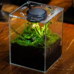 Watertight Glass Tank With LED Grow Light, Acrylic Lid, DIY Terrarium Kit- 25x25x30cm / 9.8x9.8x11.8'' -Terrarium Plant Hub IMG 4783 1 08a03d4c e26e 4f54 b020 9c073743187d 3