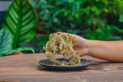 Dried Moss, 24L For DIY, Terrarium Building, Microlandscape, Orchid, Fern, Vertical Gardening 25 Dried Moss, 24L For DIY, Terrarium Building, Microlandscape, Orchid, Fern, Vertical Gardening -Terrarium Plant Hub IMG 5024