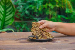 Dried Moss, 24L For DIY, Terrarium Building, Microlandscape, Orchid, Fern, Vertical Gardening 26 Dried Moss, 24L For DIY, Terrarium Building, Microlandscape, Orchid, Fern, Vertical Gardening -Terrarium Plant Hub IMG 5025