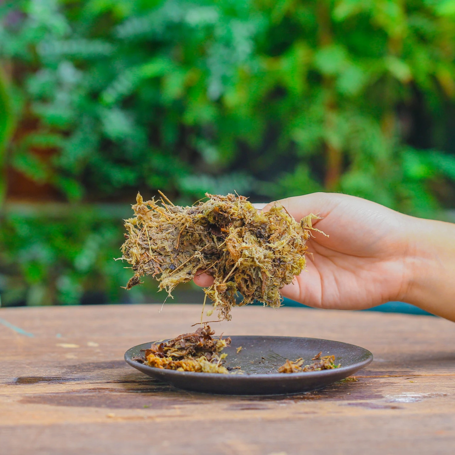 Dried Moss, 24L For DIY, Terrarium Building, Microlandscape, Orchid, Fern, Vertical Gardening 3 Dried Moss, 24L For DIY, Terrarium Building, Microlandscape, Orchid, Fern, Vertical Gardening