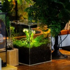 Watertight Glass Terrarium With LED Grow Light, Acrylic Lid For Carnivorous Plants-15x15x18cm / 5.9x5.9x7.1'' -Terrarium Plant Hub IMG 5036 1 6