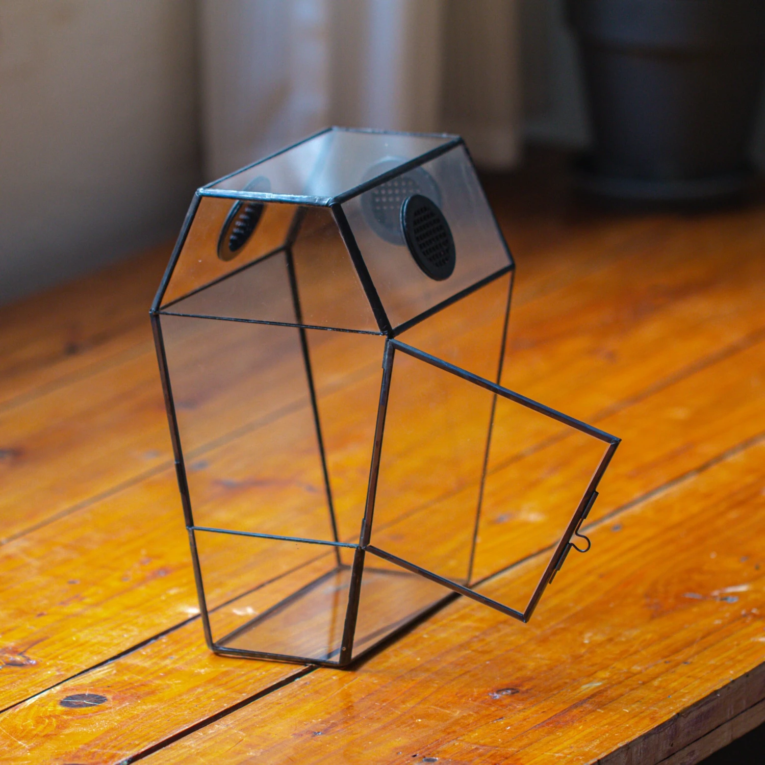 Coffin-Shaped Tin Glass Terrarium Enclosure, Gothic Style, For Jumping Spider, Insects, Snails 3 Coffin-Shaped Tin Glass Terrarium Enclosure, Gothic Style, For Jumping Spider, Insects, Snails