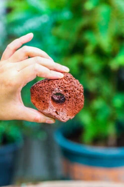 5-8cm Red Horticultural Lava Rock Volcanic Rock For Terrarium, Bonsai Landscape, 500g -Terrarium Plant Hub IMG 5143