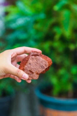 5-8cm Red Horticultural Lava Rock Volcanic Rock For Terrarium, Bonsai Landscape, 500g -Terrarium Plant Hub IMG 5145