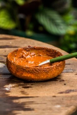 Rain Forest Sticky Red Clay For DIY Moss Wall, Plant Moss / Plants On The Wall, Vertical Landscape, Vivarium, Terrarium -Terrarium Plant Hub IMG 5242