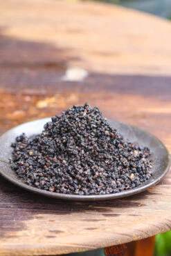 Porous Black Horticultural Lava Rocks, For Terrarium Drainage Control, The Bottom Layer Of The Moss Terrarium 16 Porous Black Horticultural Lava Rocks, For Terrarium Drainage Control, The Bottom Layer Of The Moss Terrarium -Terrarium Plant Hub IMG 5256