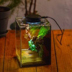 Watertight Glass Terrarium With LED Grow Light, Acrylic Lid For Moss Wall, Vertical Planting -15x15x20cm / 5.9x5.9x7.8 -Terrarium Plant Hub IMG 5297 7eb0f9f4 df12 475e a438 5bceb950cff7