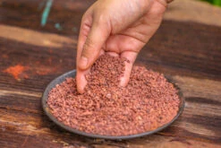 Red Horticultural Lava Rock Volcanic Rock Soil For Cacti Succulents Potted Plants Bonsai -Terrarium Plant Hub IMG 5298