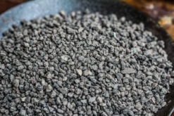 Porous Black Horticultural Lava Rocks, For Terrarium Drainage Control, The Bottom Layer Of The Moss Terrarium 17 Porous Black Horticultural Lava Rocks, For Terrarium Drainage Control, The Bottom Layer Of The Moss Terrarium -Terrarium Plant Hub IMG 5310