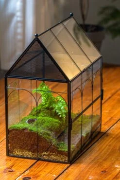 Large Vintage House Shape Insect Terrarium With Vent For Tarantulas, Mantis, Stick Insects -13" -Terrarium Plant Hub IMG 5364