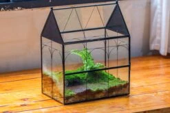 Large Vintage House Shape Insect Terrarium With Vent For Tarantulas, Mantis, Stick Insects -13" -Terrarium Plant Hub IMG 5368