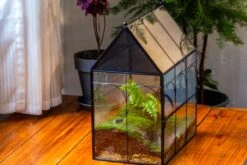 Large Vintage House Shape Insect Terrarium With Vent For Tarantulas, Mantis, Stick Insects -13" -Terrarium Plant Hub IMG 5369