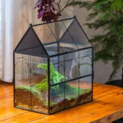 Large Vintage House Shape Insect Terrarium With Vent For Tarantulas, Mantis, Stick Insects -13" -Terrarium Plant Hub IMG 5371 2