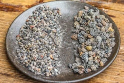 Porous Black Horticultural Lava Rocks, For Terrarium Drainage Control, The Bottom Layer Of The Moss Terrarium 14 Porous Black Horticultural Lava Rocks, For Terrarium Drainage Control, The Bottom Layer Of The Moss Terrarium -Terrarium Plant Hub IMG 5389