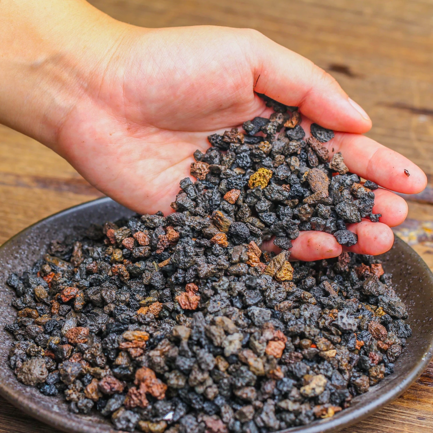 Porous Black Horticultural Lava Rocks, For Terrarium Drainage Control, The Bottom Layer Of The Moss Terrarium 3 Porous Black Horticultural Lava Rocks, For Terrarium Drainage Control, The Bottom Layer Of The Moss Terrarium