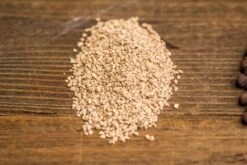 Natural Diatomaceous Rockes Stones For Top Dressing, Paving, Soil Conditioner, Potted Plants 9 Natural Diatomaceous Rockes Stones For Top Dressing, Paving, Soil Conditioner, Potted Plants -Terrarium Plant Hub IMG 5400