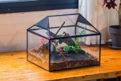 NCYP Handmade Large House Shape Geometric Glass Terrariumn 14x12x12" For Tarantulas -Terrarium Plant Hub IMG 5402